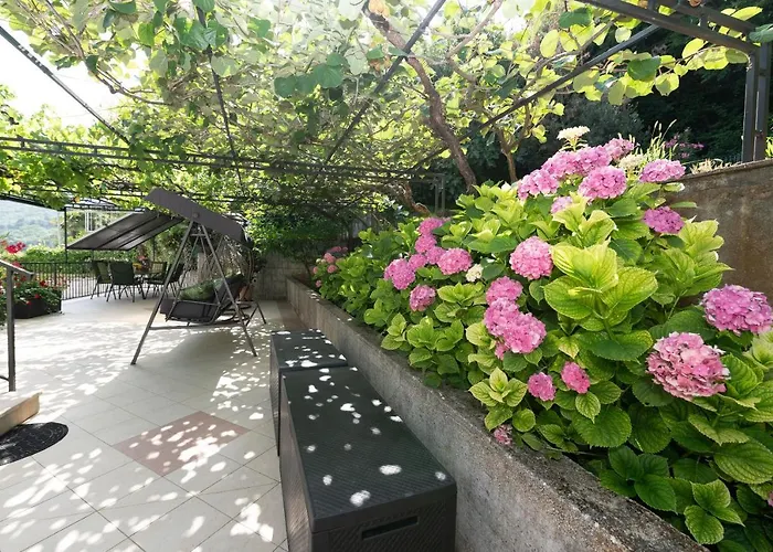 Carmen * אופטיה