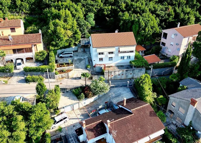 Carmen * אופטיה